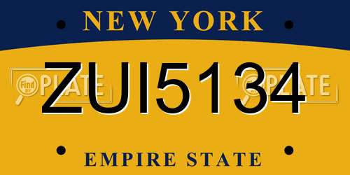 ZUI5134 New York License Plate