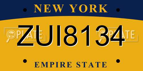 ZUI8134 New York License Plate