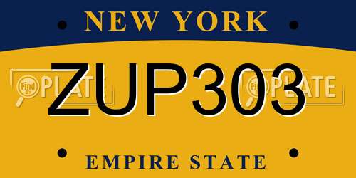 ZUP303 New York License Plate