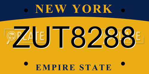 ZUT8288 New York License Plate