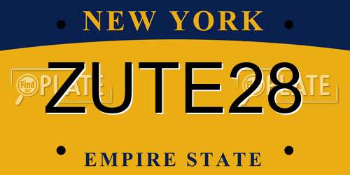 ZUTE28 New York License Plate