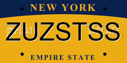 ZUZSTSS New York License Plate