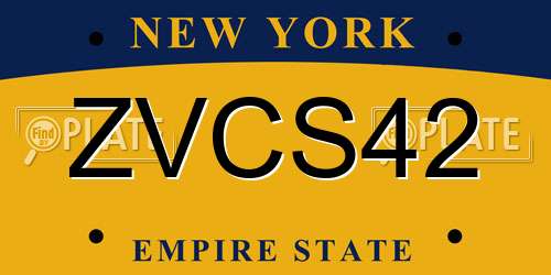 ZVCS42 New York License Plate