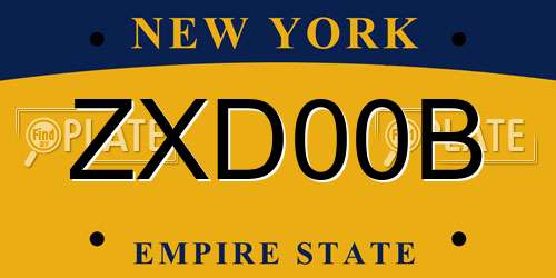 ZXD00B New York License Plate