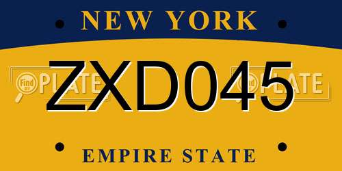 ZXD045 New York License Plate