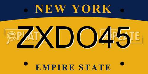 ZXDO45 New York License Plate
