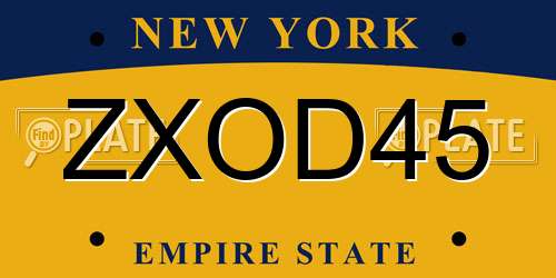 ZXOD45 New York License Plate