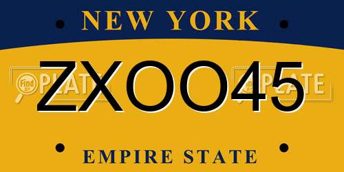 ZXOO45 New York License Plate