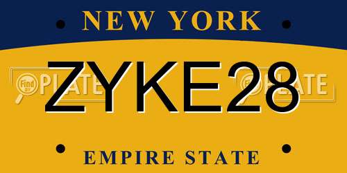 ZYKE28 New York License Plate