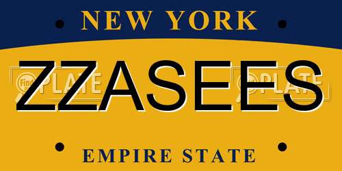 ZZASEES New York License Plate