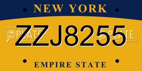 ZZJ8255 New York License Plate