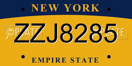 ZZJ8285 New York License Plate