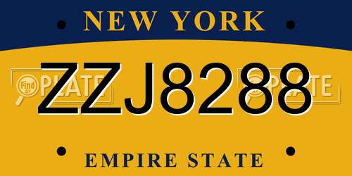 ZZJ8288 New York License Plate
