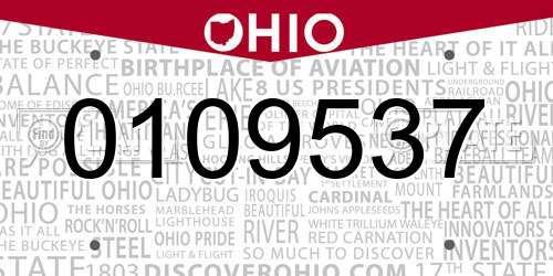 0109537 Ohio License Plate