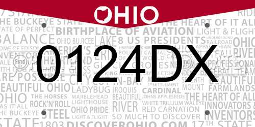 0124DX Ohio License Plate