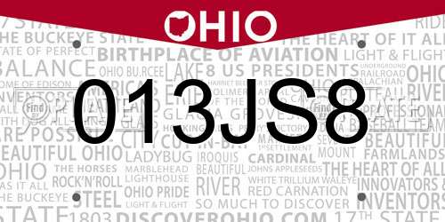013JS8 Ohio License Plate