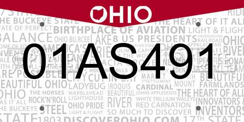 01AS491 Ohio License Plate