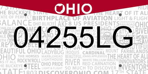 04255LG Ohio License Plate