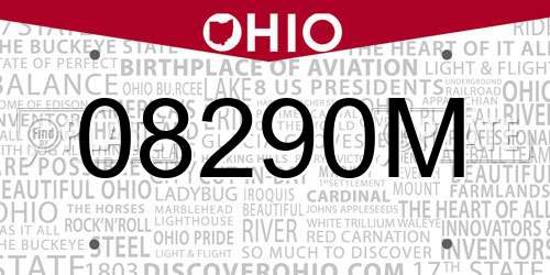 08290M Ohio License Plate