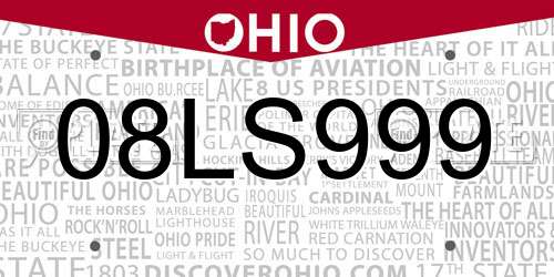 08LS999 Ohio License Plate