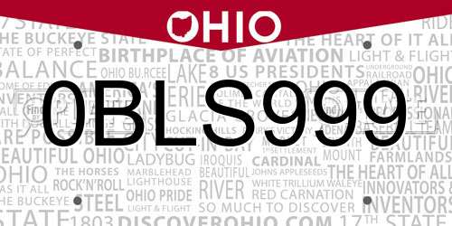 0BLS999 Ohio License Plate