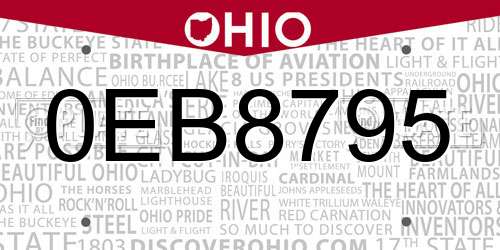 0EB8795 Ohio License Plate