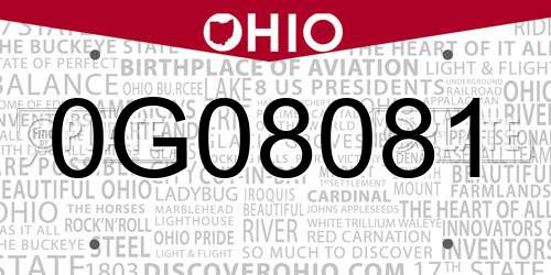 0G08081 Ohio License Plate