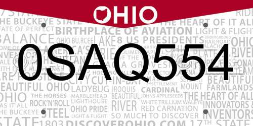 0SAQ554 Ohio License Plate