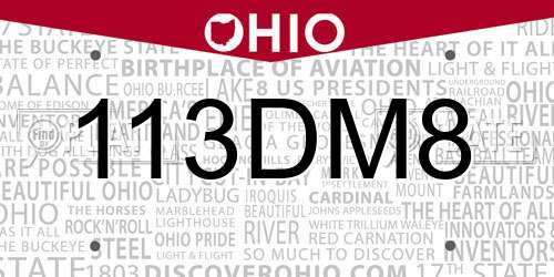 113DM8 Ohio License Plate