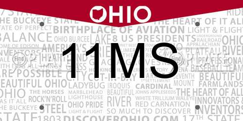 11MS Ohio License Plate