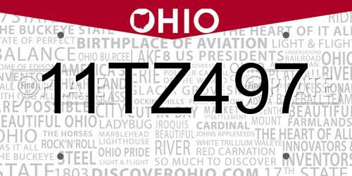 11TZ497 Ohio License Plate