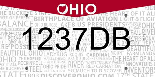 1237DB Ohio License Plate