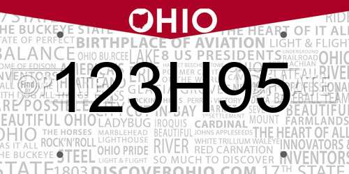 123H95 Ohio License Plate