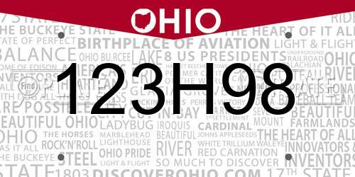 123H98 Ohio License Plate