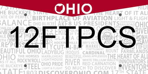 12FTPCS Ohio License Plate