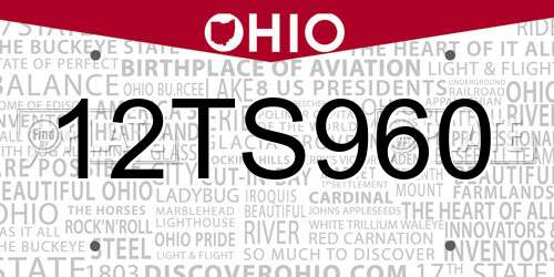 12TS960 Ohio License Plate