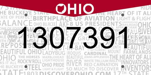 1307391 Ohio License Plate