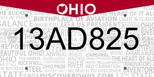 13AD825 Ohio License Plate