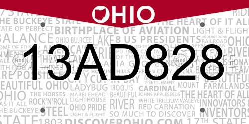 13AD828 Ohio License Plate