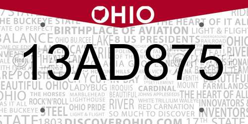 13AD875 Ohio License Plate