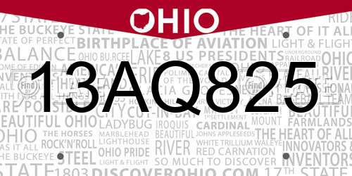 13AQ825 Ohio License Plate