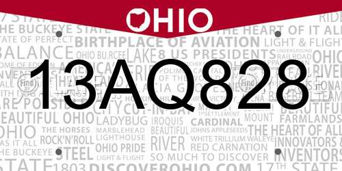 13AQ828 Ohio License Plate
