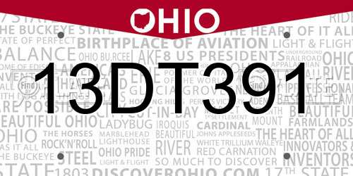 13DT391 Ohio License Plate
