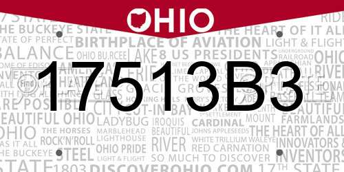 17513B3 Ohio License Plate