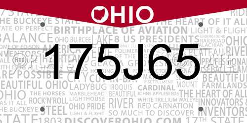 175J65 Ohio License Plate