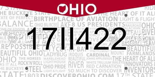17II422 Ohio License Plate
