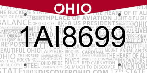 1AI8699 Ohio License Plate