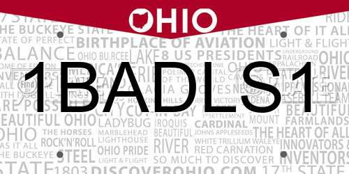 1BADLS1 Ohio License Plate