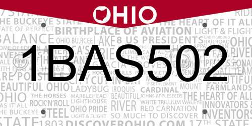 1BAS502 Ohio License Plate