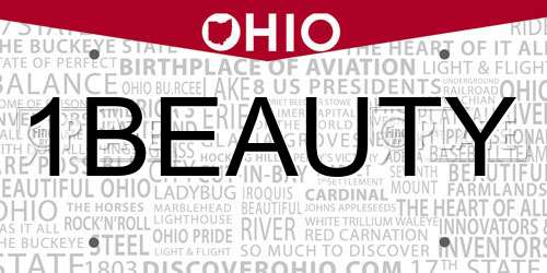 1BEAUTY Ohio License Plate